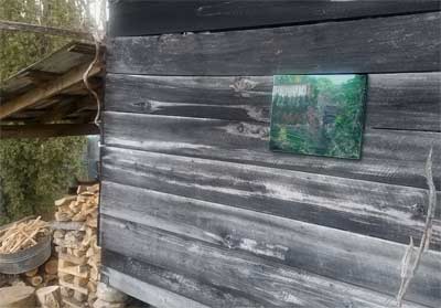 Photo of Farm House painting by Janice Boling