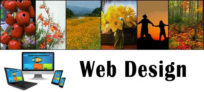 Web Design banner